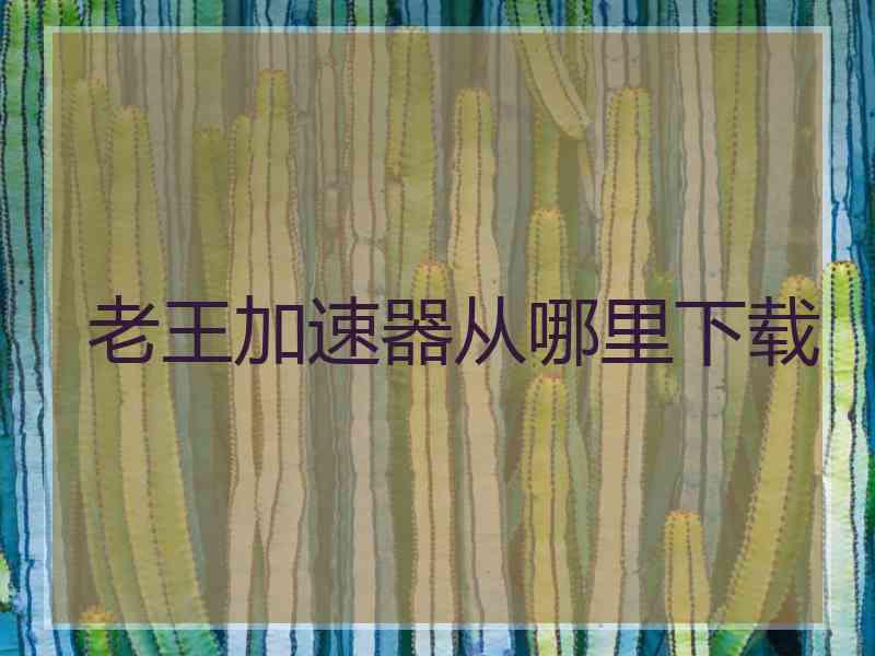 老王加速器从哪里下载 老王加速器从哪里下载