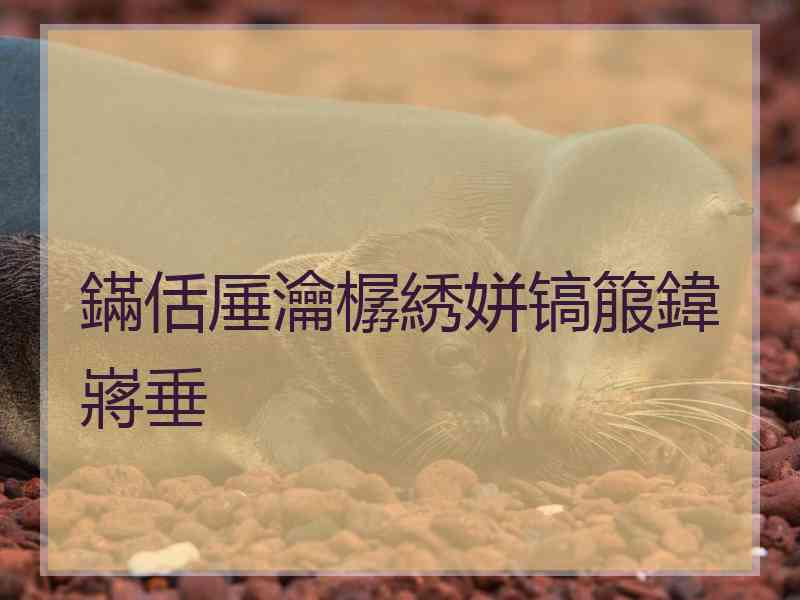 鏋佸厜瀹樼綉姘镐箙鍏嶈垂 鏋佸厜瀹樼綉姘镐箙鍏嶈垂