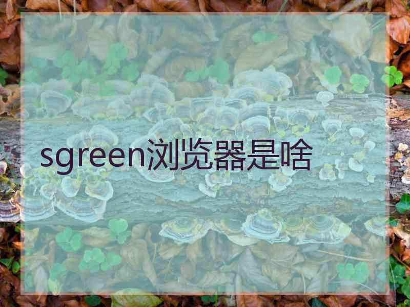 sgreen浏览器是啥 sgreen浏览器是啥