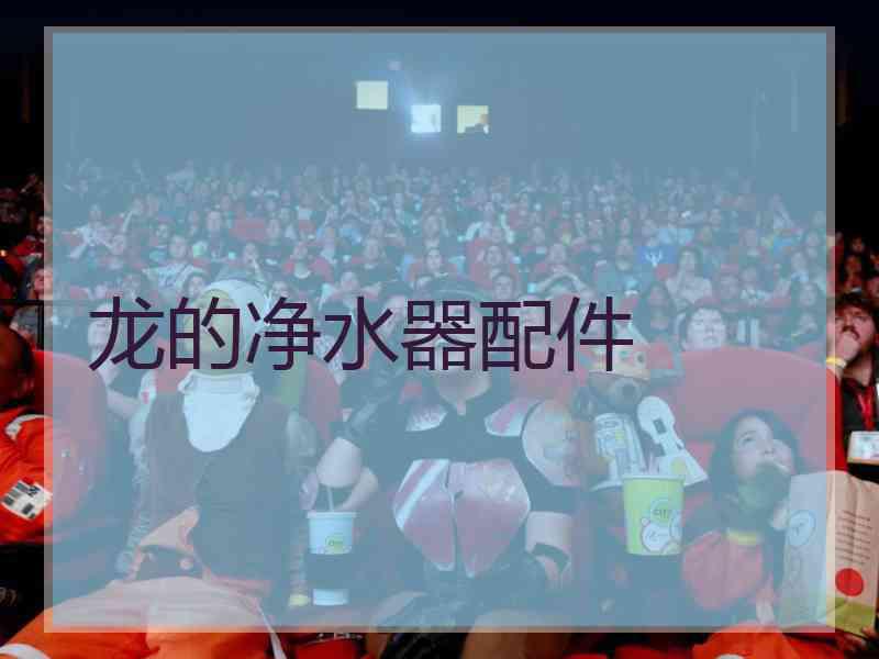 龙的净水器配件 龙的净水器配件