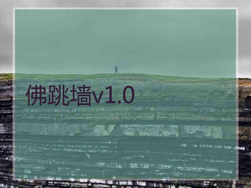 佛跳墙v1.0 佛跳墙v1.0