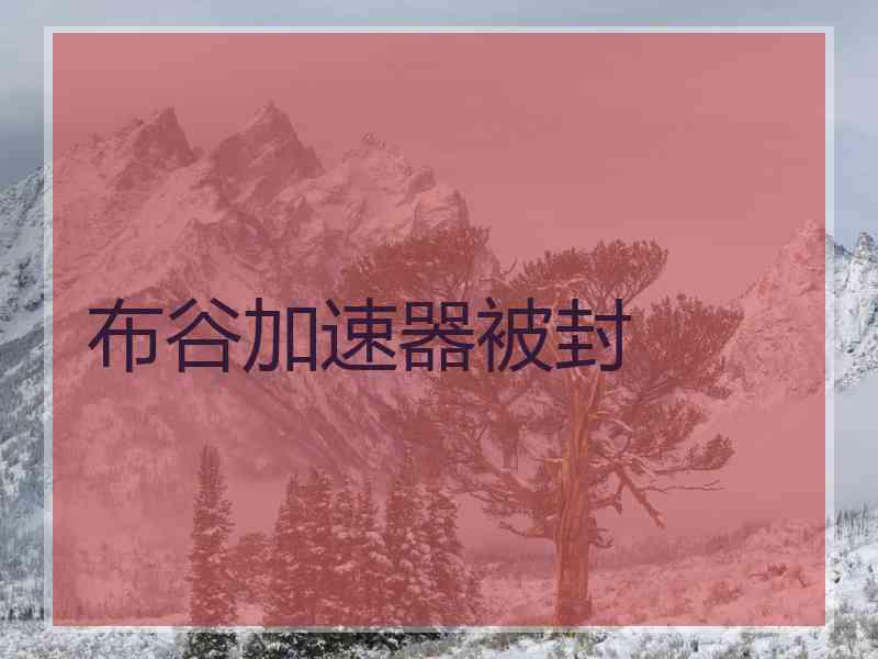 布谷加速器被封 布谷加速器被封