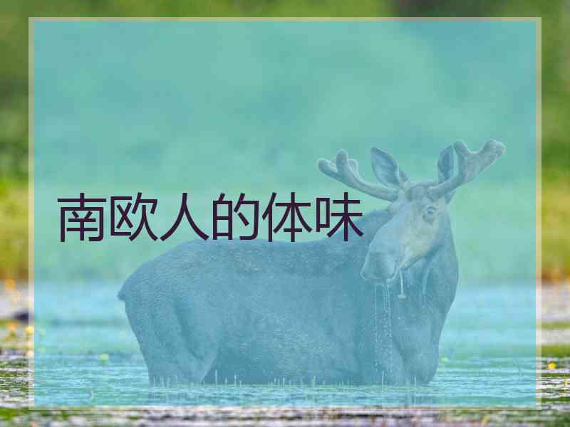 南欧人的体味 南欧人的体味