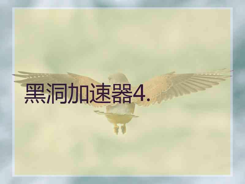 黑洞加速器4. 黑洞加速器4.