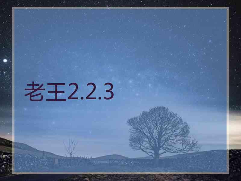老王2.2.3 老王2.2.3