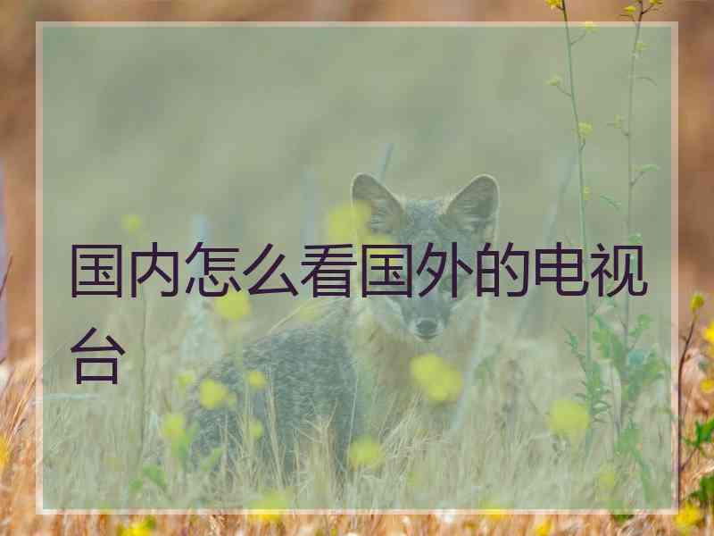 国内怎么看国外的电视台 国内怎么看国外的电视台