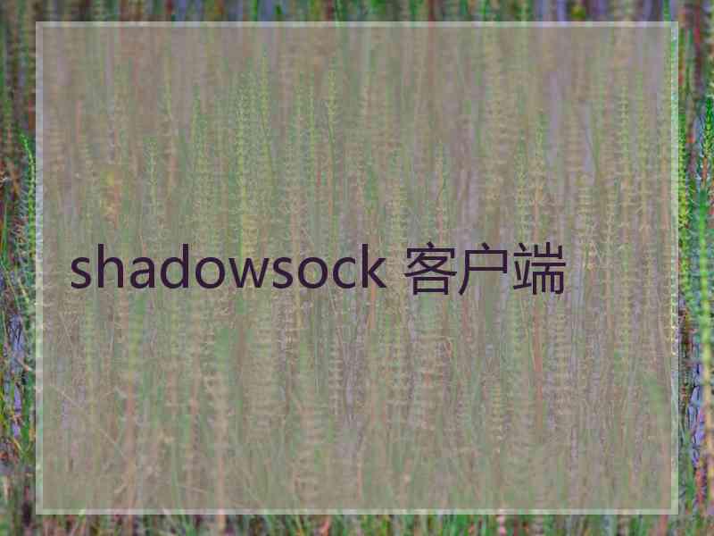 shadowsock 客户端