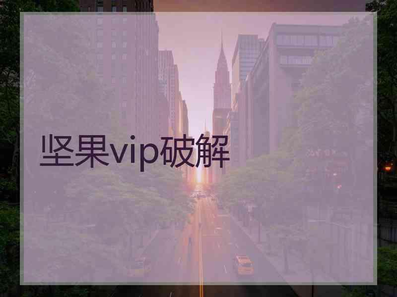 坚果vip破解 坚果vip破解