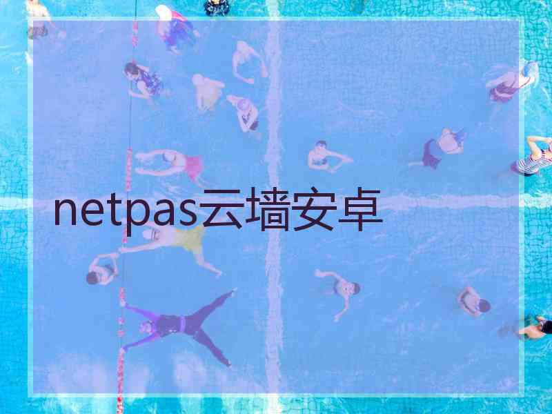 netpas云墙安卓 netpas云墙安卓