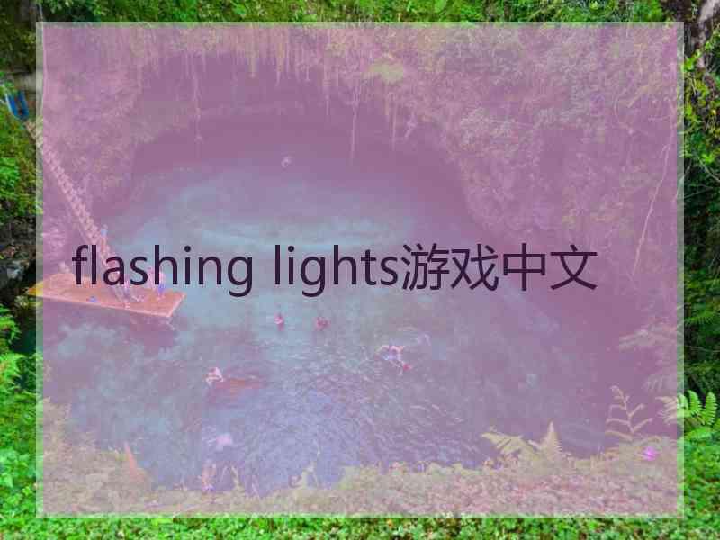 flashing lights游戏中文 flashing lights游戏中文