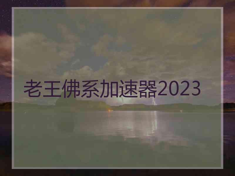 老王佛系加速器2023 老王佛系加速器2023