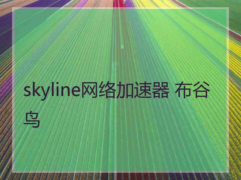 skyline网络加速器 布谷鸟 skyline网络加速器 布谷鸟