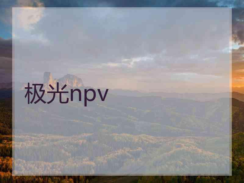 极光npv 极光npv