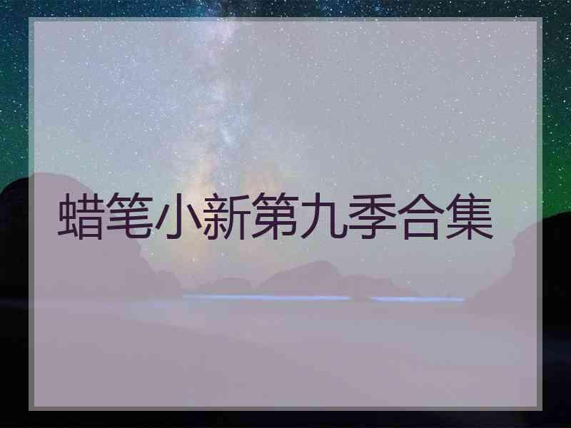 蜡笔小新第九季合集 蜡笔小新第九季合集