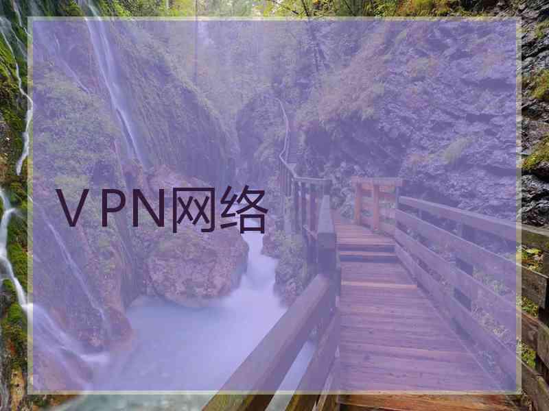 ⅤPN网络 ⅤPN网络