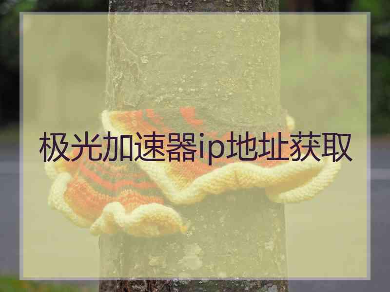 极光加速器ip地址获取 极光加速器ip地址获取