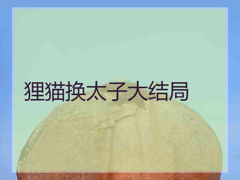 狸猫换太子大结局 狸猫换太子大结局