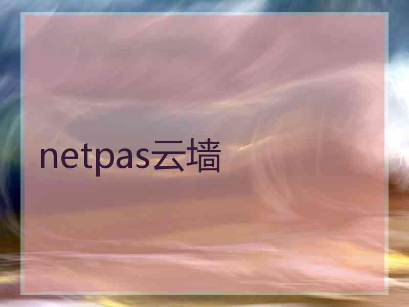 netpas云墙 netpas云墙