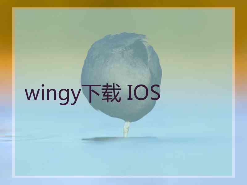wingy下载 IOS wingy下载 IOS