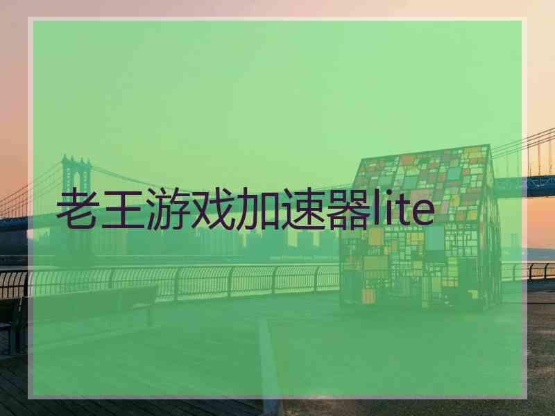 老王游戏加速器lite 老王游戏加速器lite