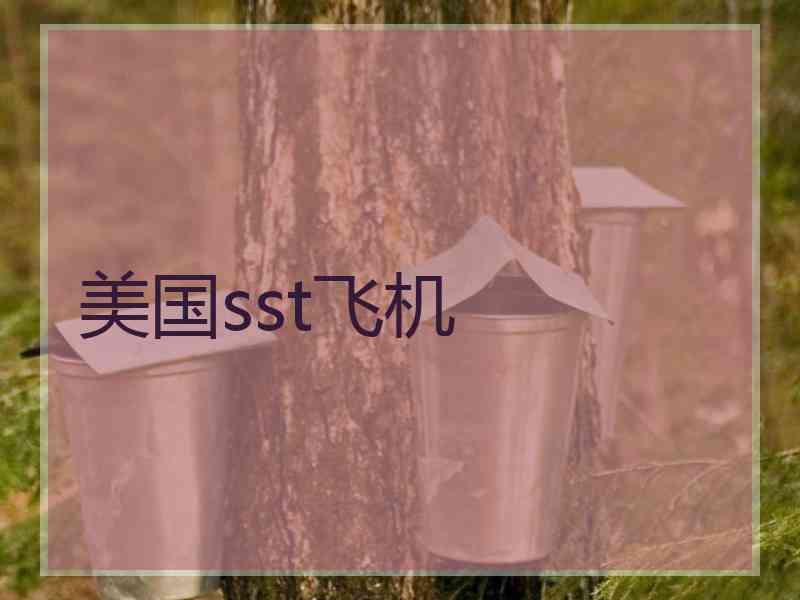 美国sst飞机 美国sst飞机