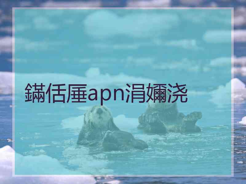 鏋佸厜apn涓嬭浇 鏋佸厜apn涓嬭浇