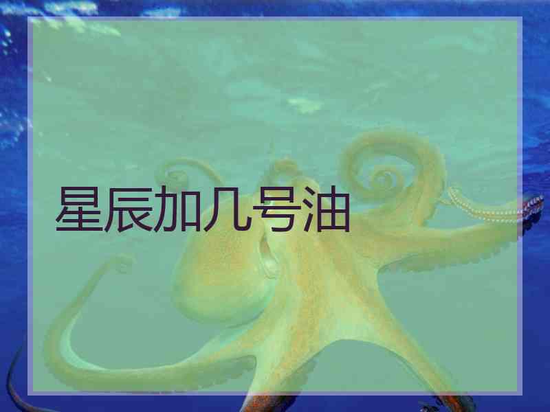 星辰加几号油 星辰加几号油