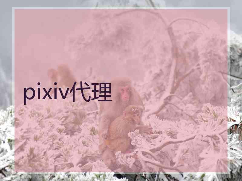 pixiv代理 pixiv代理