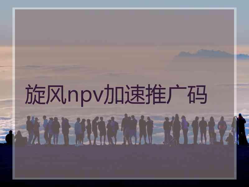 旋风npv加速推广码 旋风npv加速推广码