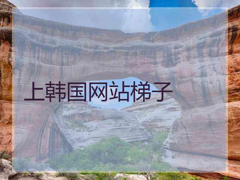 上韩国网站梯子 上韩国网站梯子