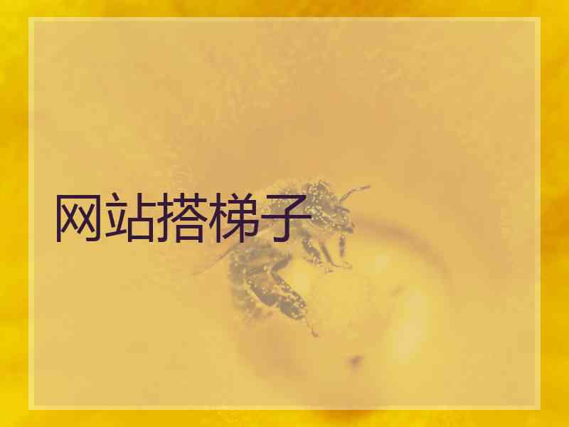 网站搭梯子 网站搭梯子