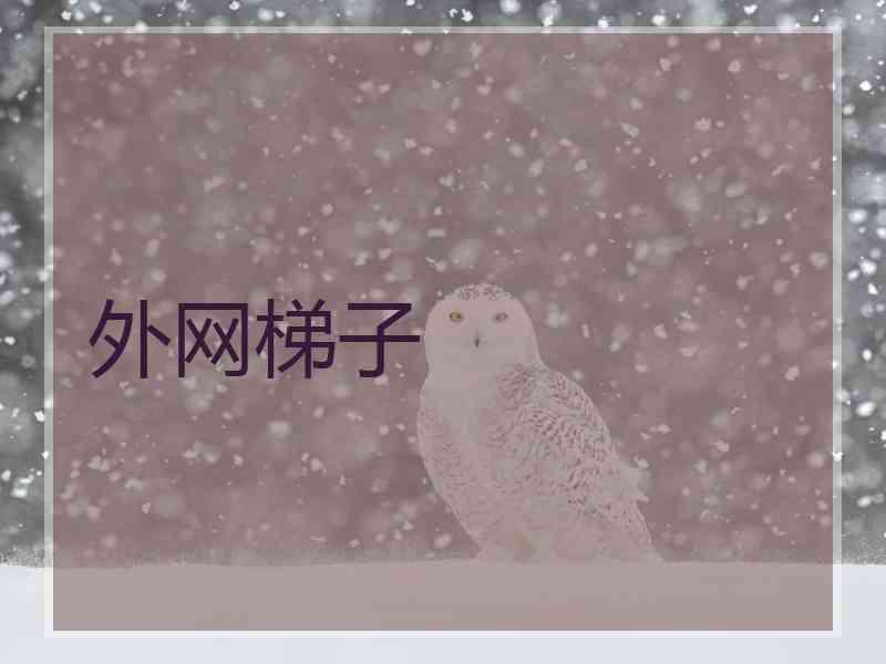 外网梯子 外网梯子