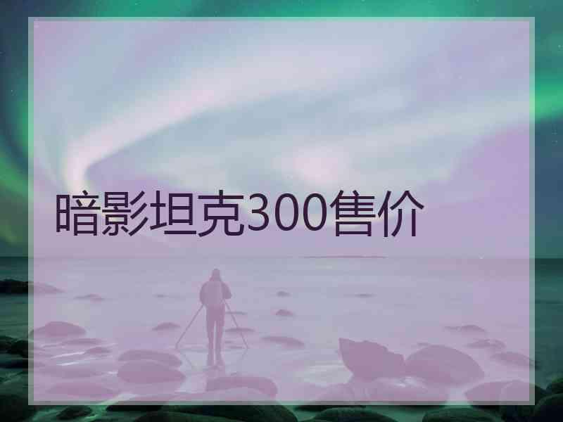 暗影坦克300售价 暗影坦克300售价