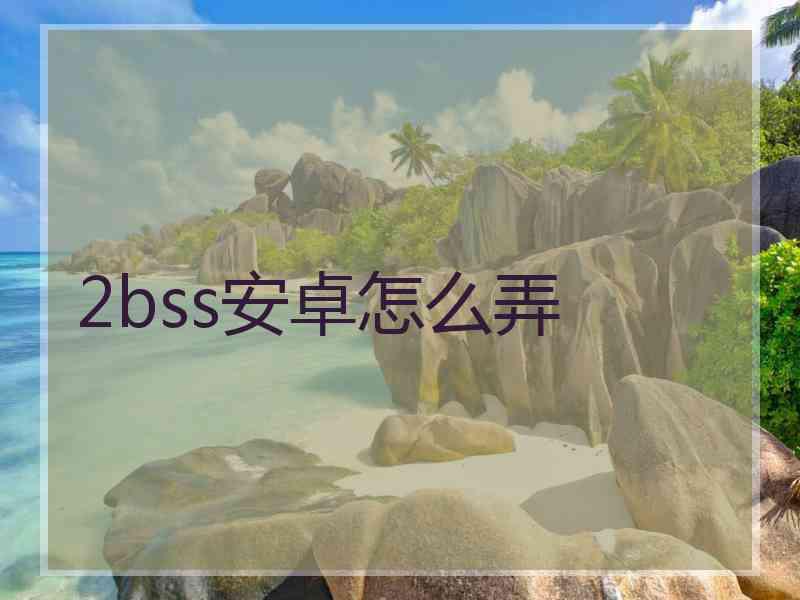 2bss安卓怎么弄 2bss安卓怎么弄