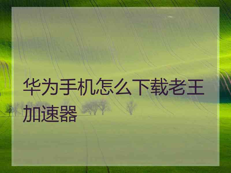 华为手机怎么下载老王加速器 华为手机怎么下载老王加速器