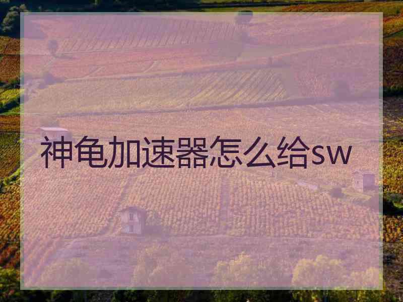 神龟加速器怎么给sw