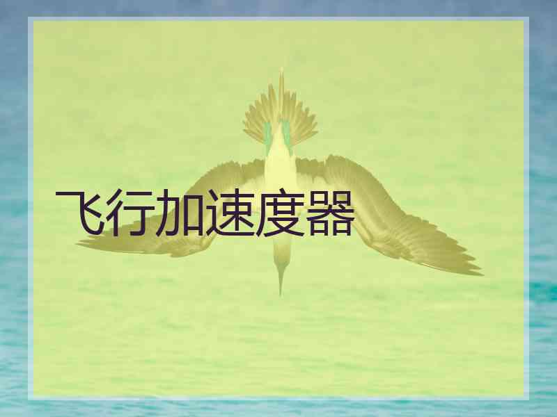 飞行加速度器