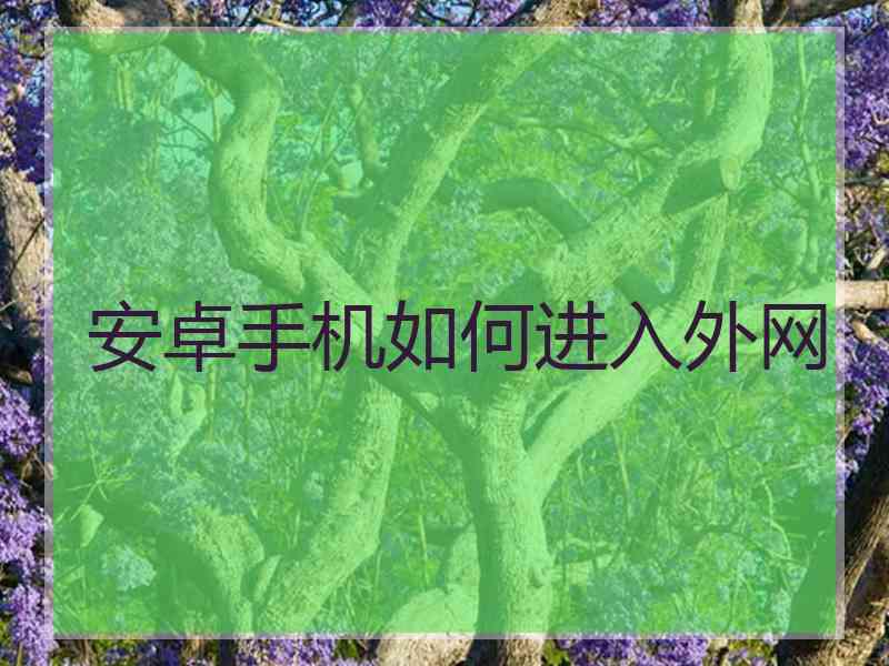 安卓手机如何进入外网