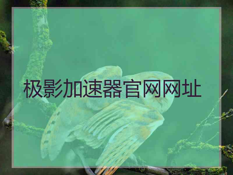 极影加速器官网网址