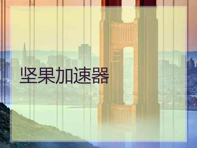 坚果加速器