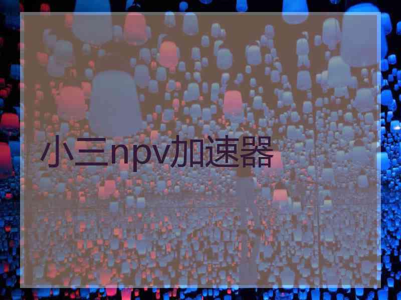 小三npv加速器