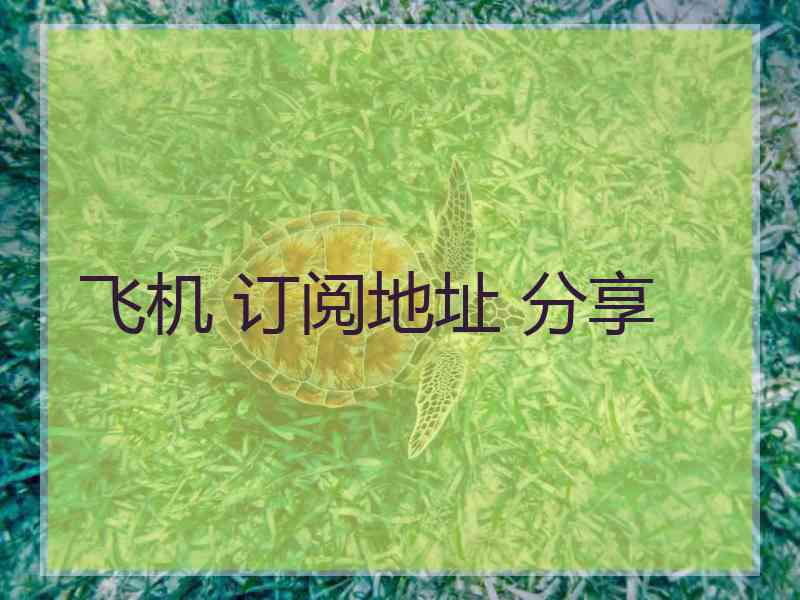 飞机 订阅地址 分享