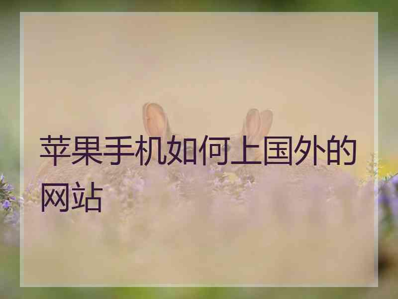 苹果手机如何上国外的网站