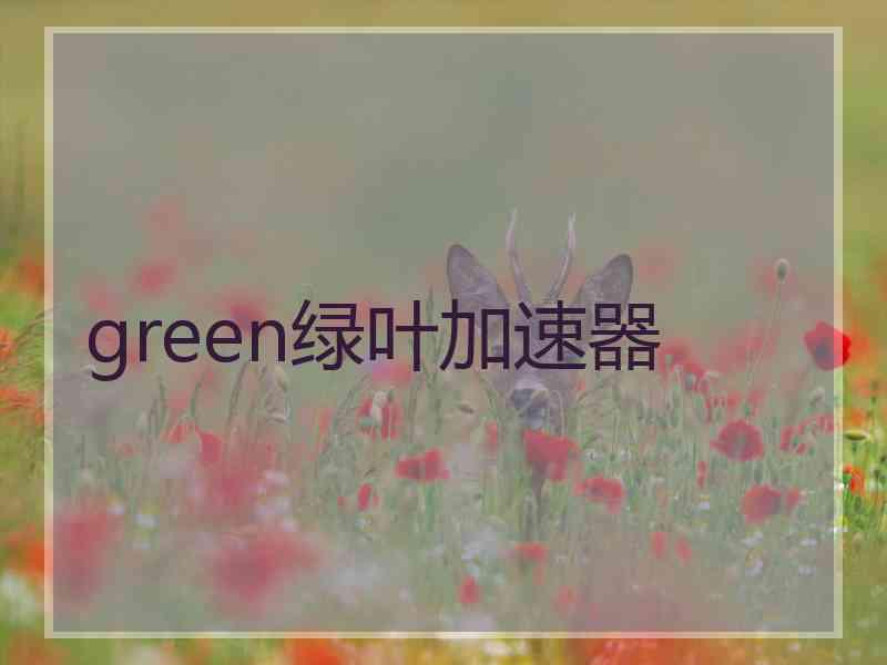 green绿叶加速器