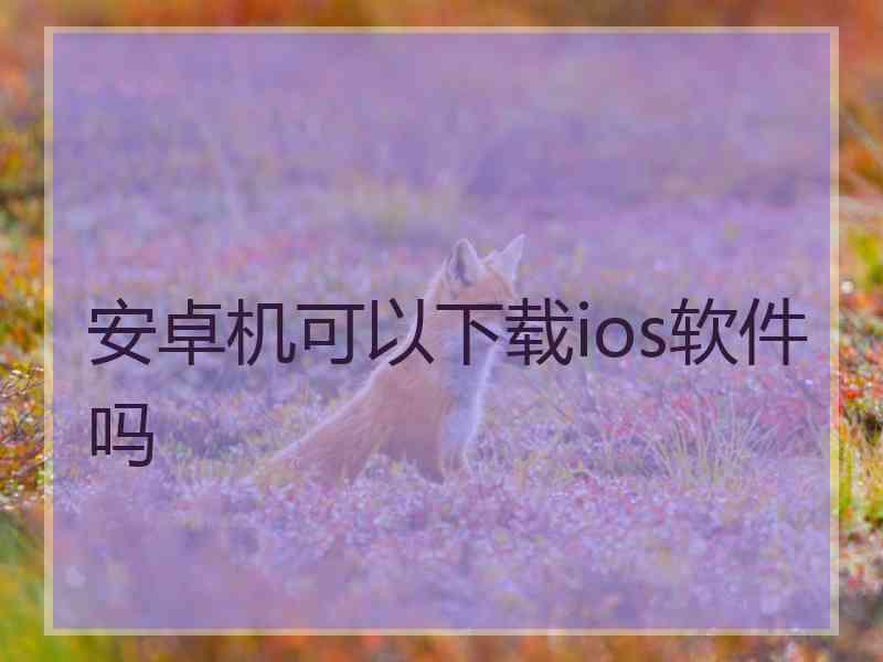 安卓机可以下载ios软件吗