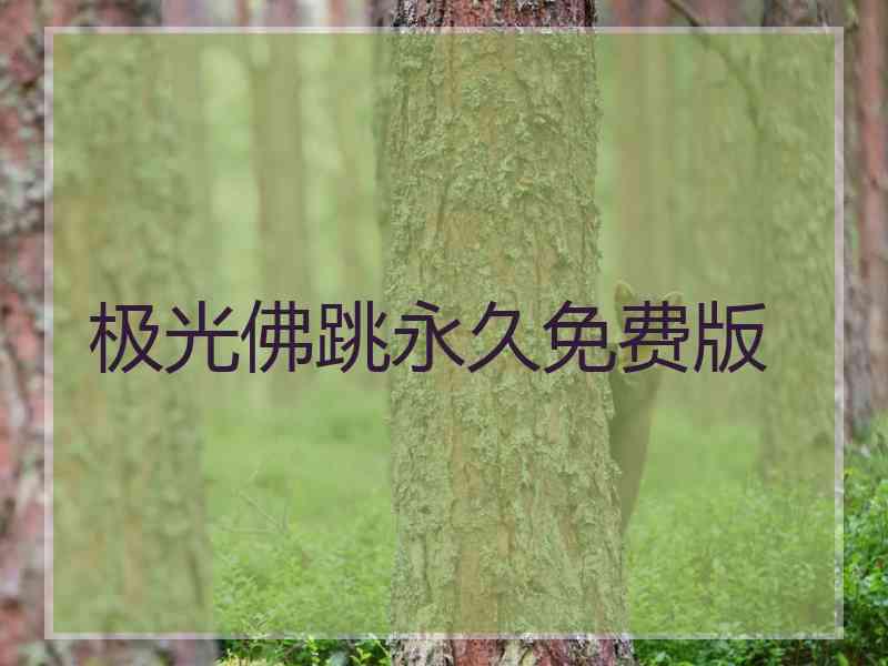 极光佛跳永久免费版