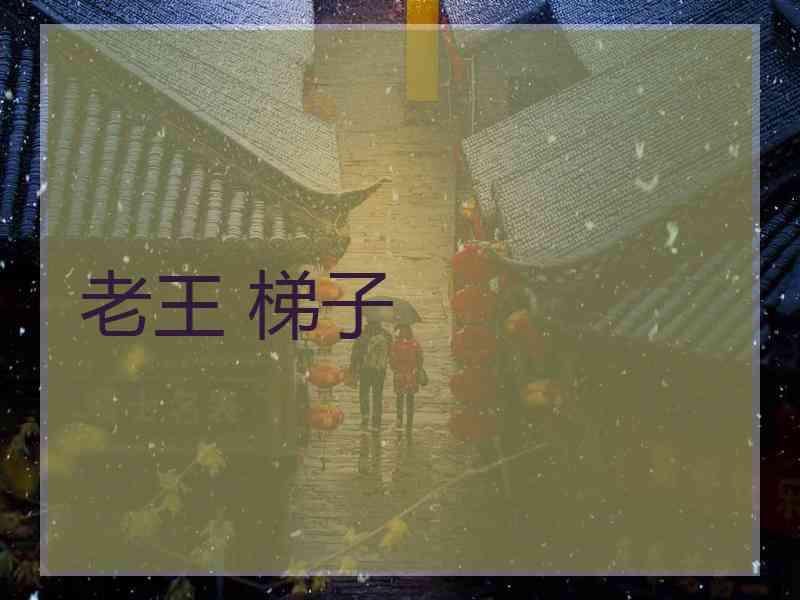 老王 梯子