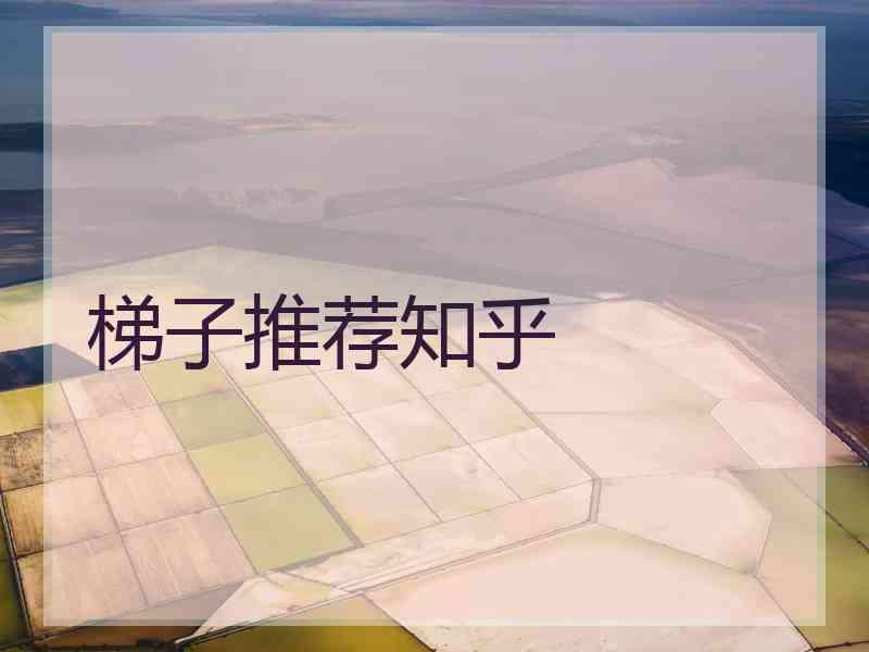 梯子推荐知乎