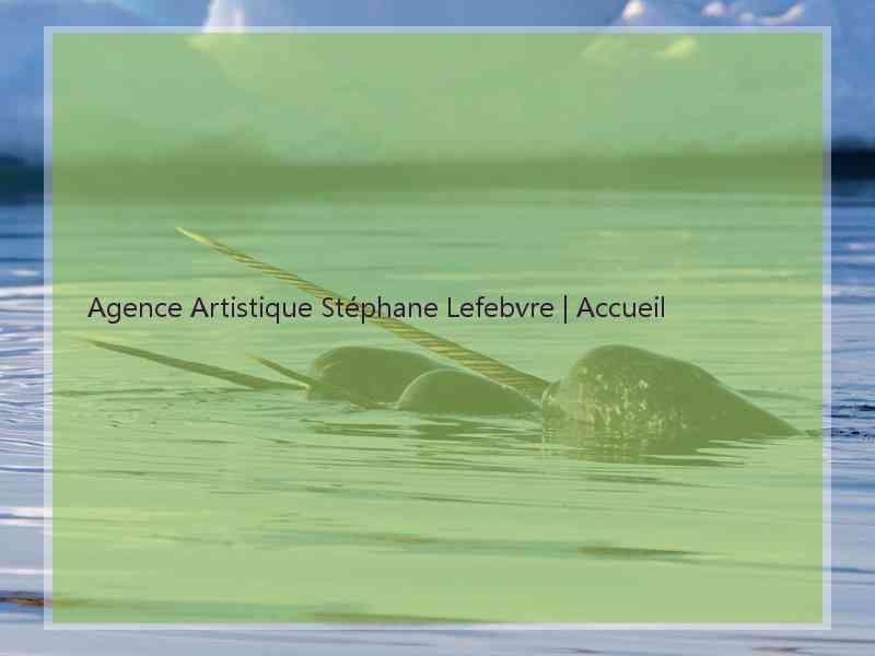 Agence Artistique Stéphane Lefebvre | Accueil