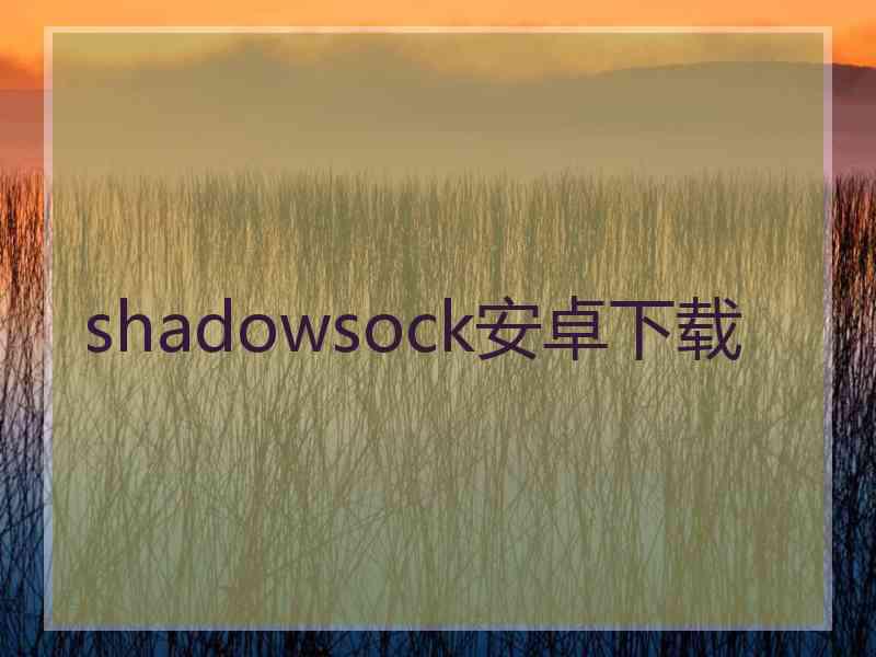 shadowsock安卓下载